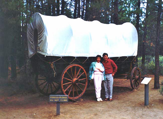 Oregon Trail Wagon