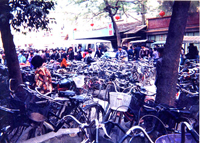 bicycles, a lot of them